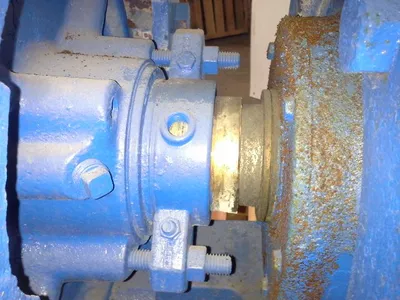 USED Goulds 3175