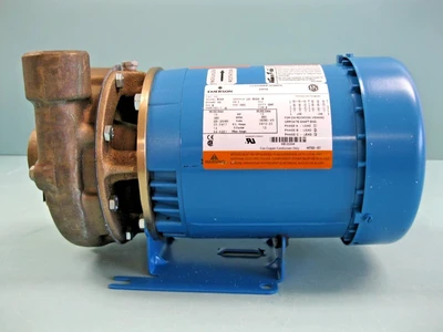 NEW Goulds 3642 2AB21034