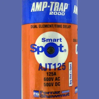 Ferraz Shawmut Class J 125 Amp Fuse