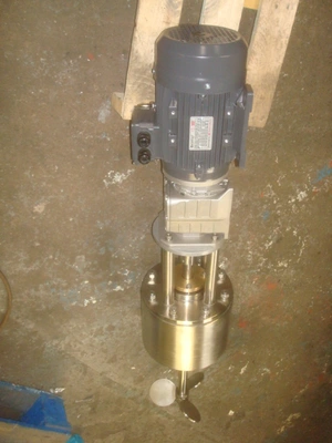 Rigal-Bennett Side Entry Marine Stirrer