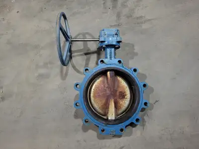 14" Class 150 Butterfly Valve