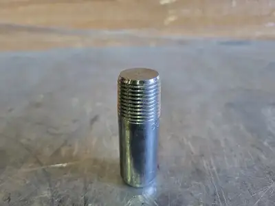 1/2" Threaded Round Head Plug WPL6