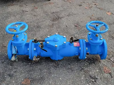 Used WATTS LF009 RP Valves/Fittings British Columbia CA | Lenmark #258088