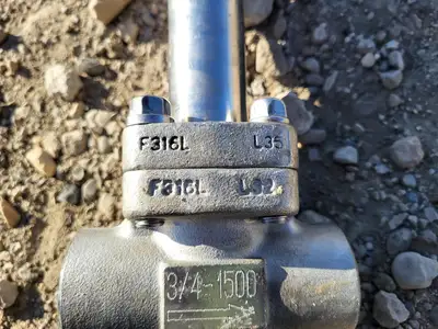 3/4" Class 1500 Gate Valve API 602