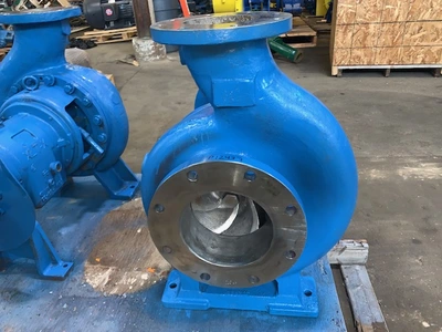USED Goulds 3196 XLT