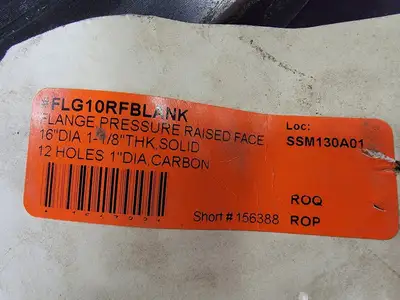 10" Bore Raised Face Pressure Flange No. FLG10RFBLANK