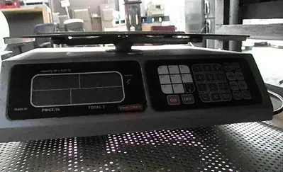 Scale, Platform, 12" X 8.5", Torrey, Counter Top, 40 Lbs, #S736994