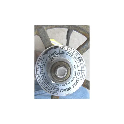 Eagle America 1" Forged Stainless Steel Gate Valve - W8 Series