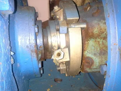USED Goulds 3175