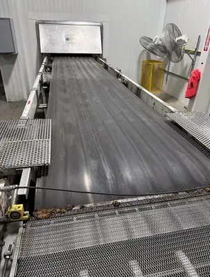 Used 1984 APV/WERNER LEHARA WL-CONVECTION Conveyor Ovens Texas US | Bakery Machinery and Engineering #1770308