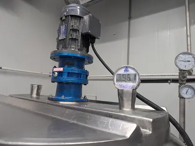 Dual Batch Processing Tanks