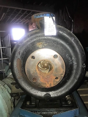 USED Goulds 3196 MTX
