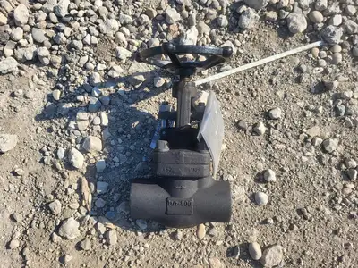 NEW 2013 BERIC VALVES 502S78B12N-NACE