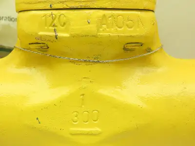 SWI A105N Steel Gate Check Valve 1" Flanged Raised Face Class 300# Monel Spiral