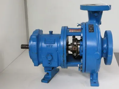 USED Goulds 3196 MTX