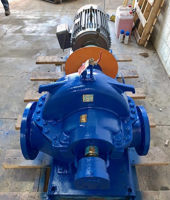 Used Goulds 100 Pumps Minnesota US | Peak Machinery, Inc. #286188
