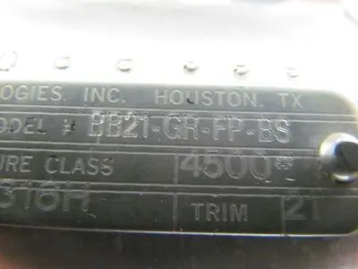 Valvtechnologies BB21-GR-FP-BS Stainless Steel Size 1 Forged High Pressure Valve