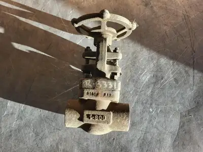 2018 1" Class 800 Gate Valve API 602