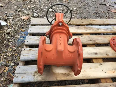 4" Gate Valve R2365, 250 PSI