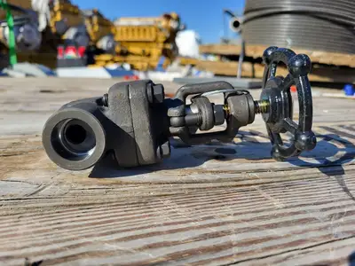 2019 3/4" Class 800 Globe Valve API 602