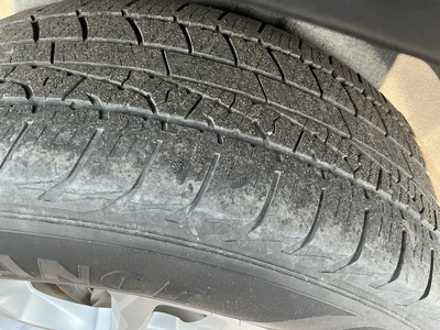 Used 2019 CHEVROLET TRAVERSE SUVs Michigan US | Miedema Asset Management Group #1313927