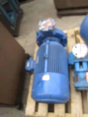 Pump, Centrif., 18.5 kW, C/st, Ritz, Mdl 50-250 3" #S739829