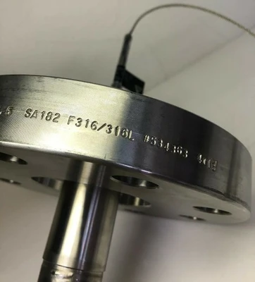 NEW Vega Vegaflex 66
