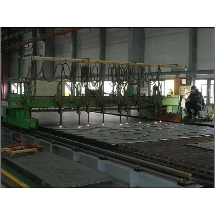 Used 2011 _UNKNOWN_ VESAGRAPH-6000DX1 3DP Plasma Cutters British Columbia CA | Savona Equipment LTD #1170654