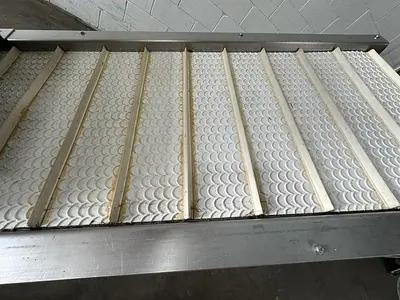 Incline Conveyor with Hopper