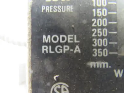 Antunes Controls RLGP-A Low Pressure 2" to 14" WC