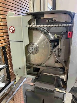 Used 2024 STRIEBIG STANDARD S Woodworking Panel Saws Ohio US | MachineryMax #1330272