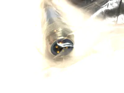 NEW TURCK MINIFAST SINGLE ENDED CORDSET 7/8-16 MALE