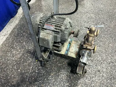 Used BLACKMER BXL1 1/4NFHTB Pumps Ohio US | HGR 24 #1405038