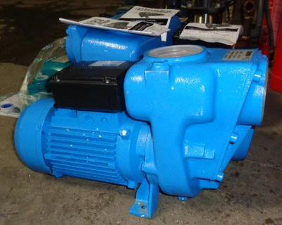 480 LPM Clarke M/S Centrifugal Pump  2.2kw Type CPE 30A1