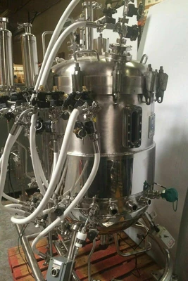 LSL BioLafitte Does Not Apply Bioreactors & Fermenters | Amiron Machinery (5)