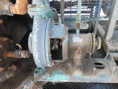 USED GOULDS 3196