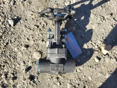 1" Class 800 Gate Valve API 602