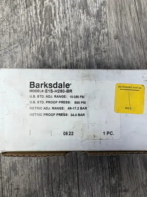 BARKSDALE E1S-H250-BR Electrical Equipment/Supplies | ESS Industrial Equipment Sales (3)