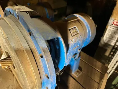 USED GOULDS 3196