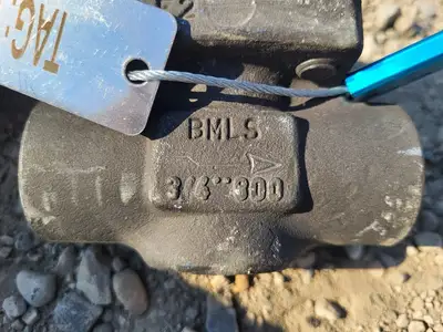 3/4" Class 800 Check Valve B16.34