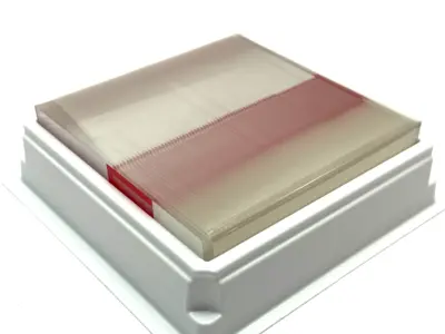 ES-325-001 | Thermo Scientific  SuperFrost Control Slides 1/2 Gross - New Other