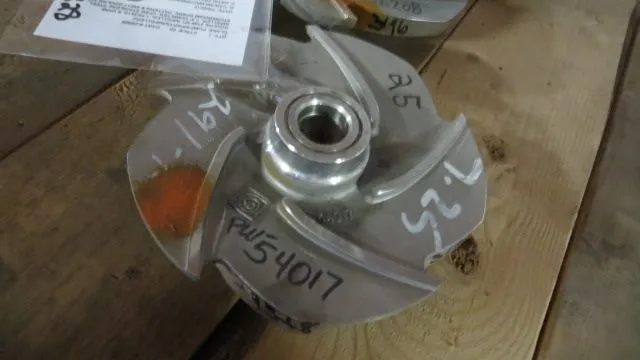 USED Goulds 3196