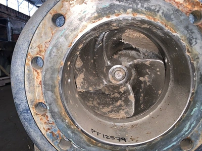 USED Goulds 3175