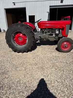 Used MASSEY FERGUSON 50 Utility Tractors Nebraska US | Trustworthy Equipment #1403604