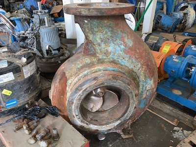 USED Goulds 3175