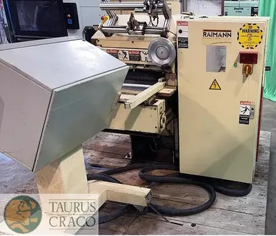 USED 2001 RAIMANN VARIORIP KM 310 BV GANG RIP SAW