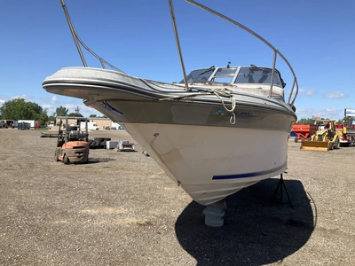 Used 1988 SEA RAY SORRENTO 25 Boats (Misc) Michigan US | Miedema Asset Management Group #1384746