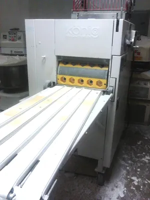 Konig Rex Futura 5 Row Roll Machines (Bakery) | Harvest Equipment and Fabrication Inc (3)