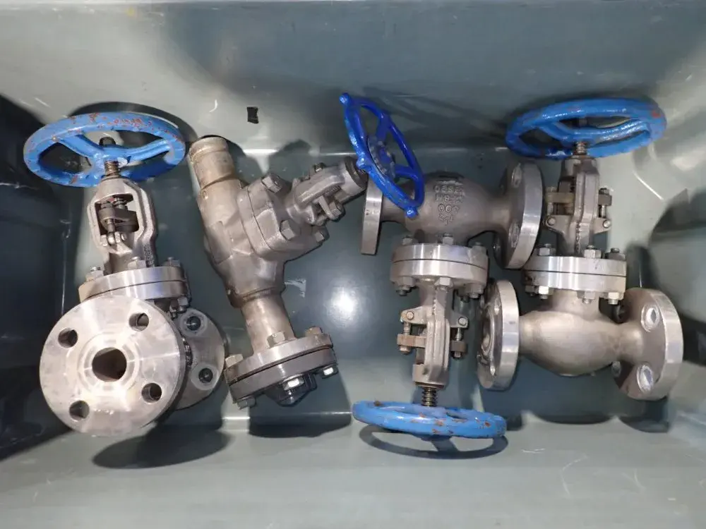 Stainless Steel Gate Valves
