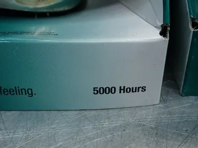 NEW SYLVANIA 250BR40/RP